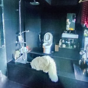 FIXED-FRAMELESS-PARTITION-SUDIRMAN-JAKARTA-PUSAT-27112023-BEFORE